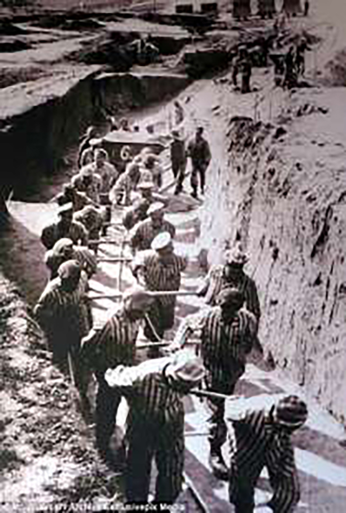 14 prigionieri a mauthausen 866080 tn